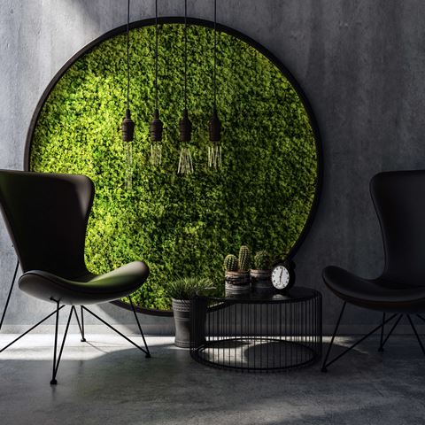 Yapay Duvar Bahçesi